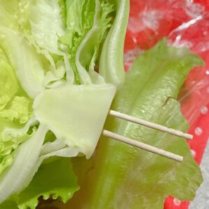 レタスを新鮮に保つ方法 レシピ 作り方 By あやめぇ 楽天レシピ レタスを新鮮に保つ方法 レシピ 作り方 By あやめぇ 楽天レシピ